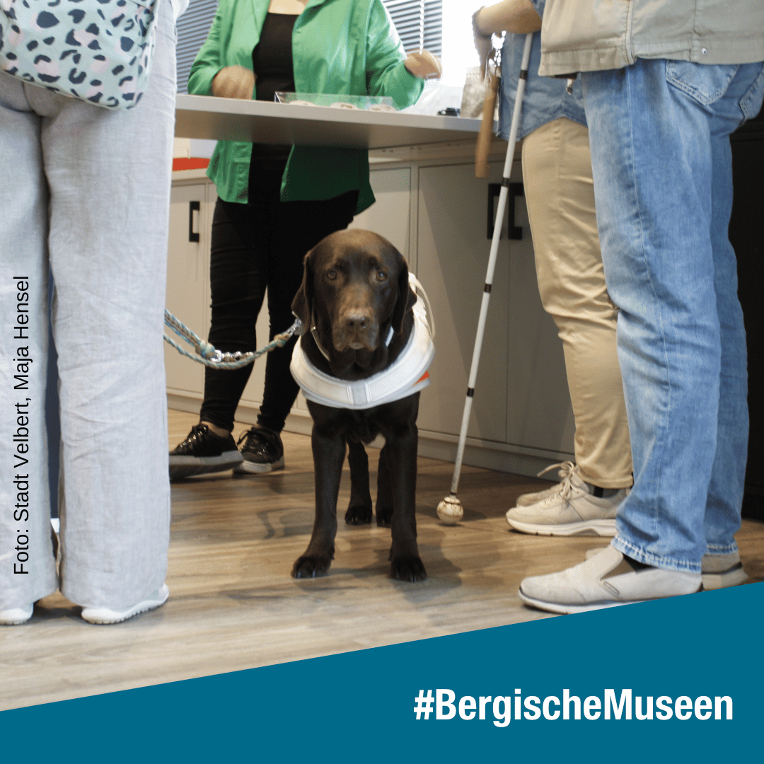 Ein Blindenhund zwischen den Beinen dreier Museumsbesucher an der Museumskasse