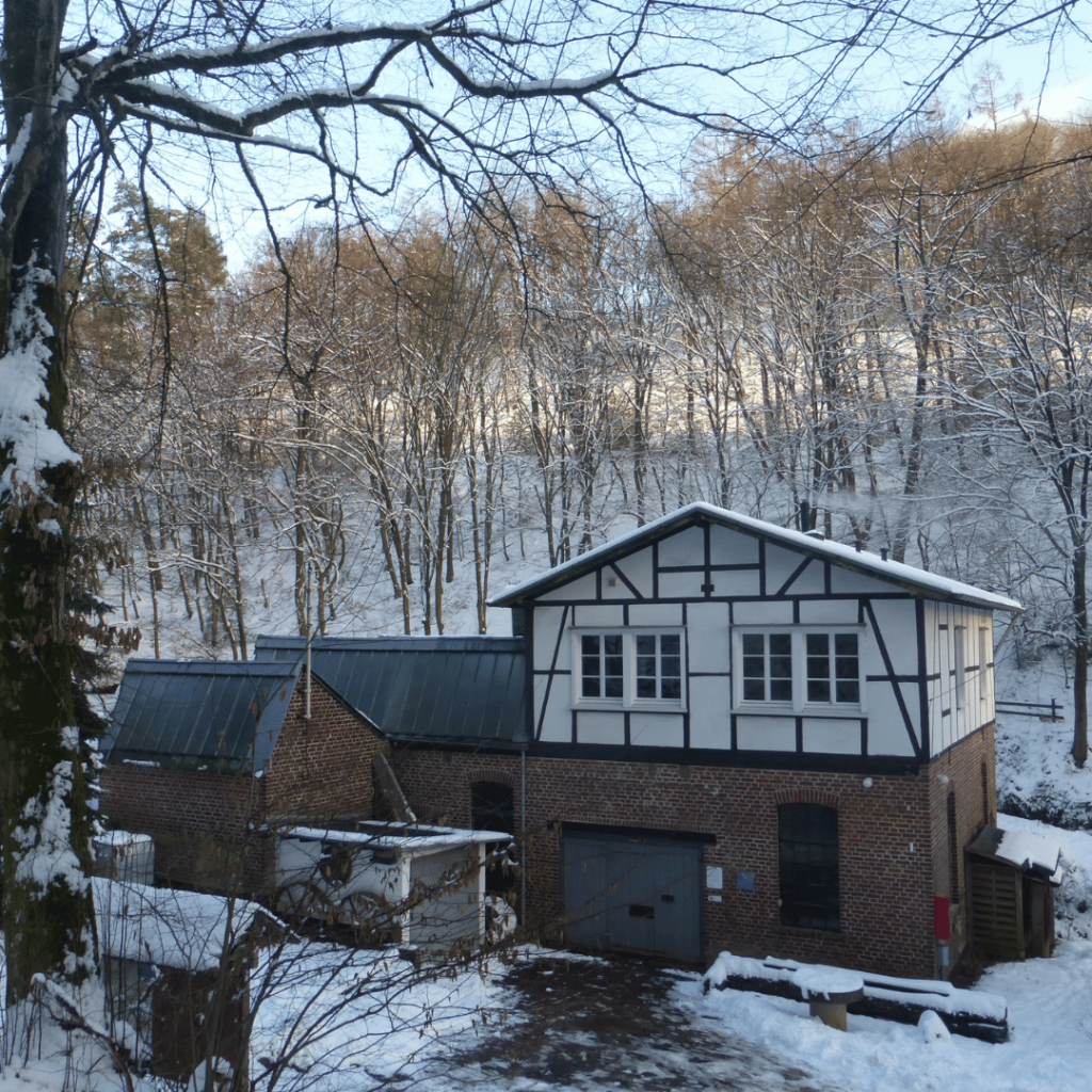 Manuelskotten im Schnee