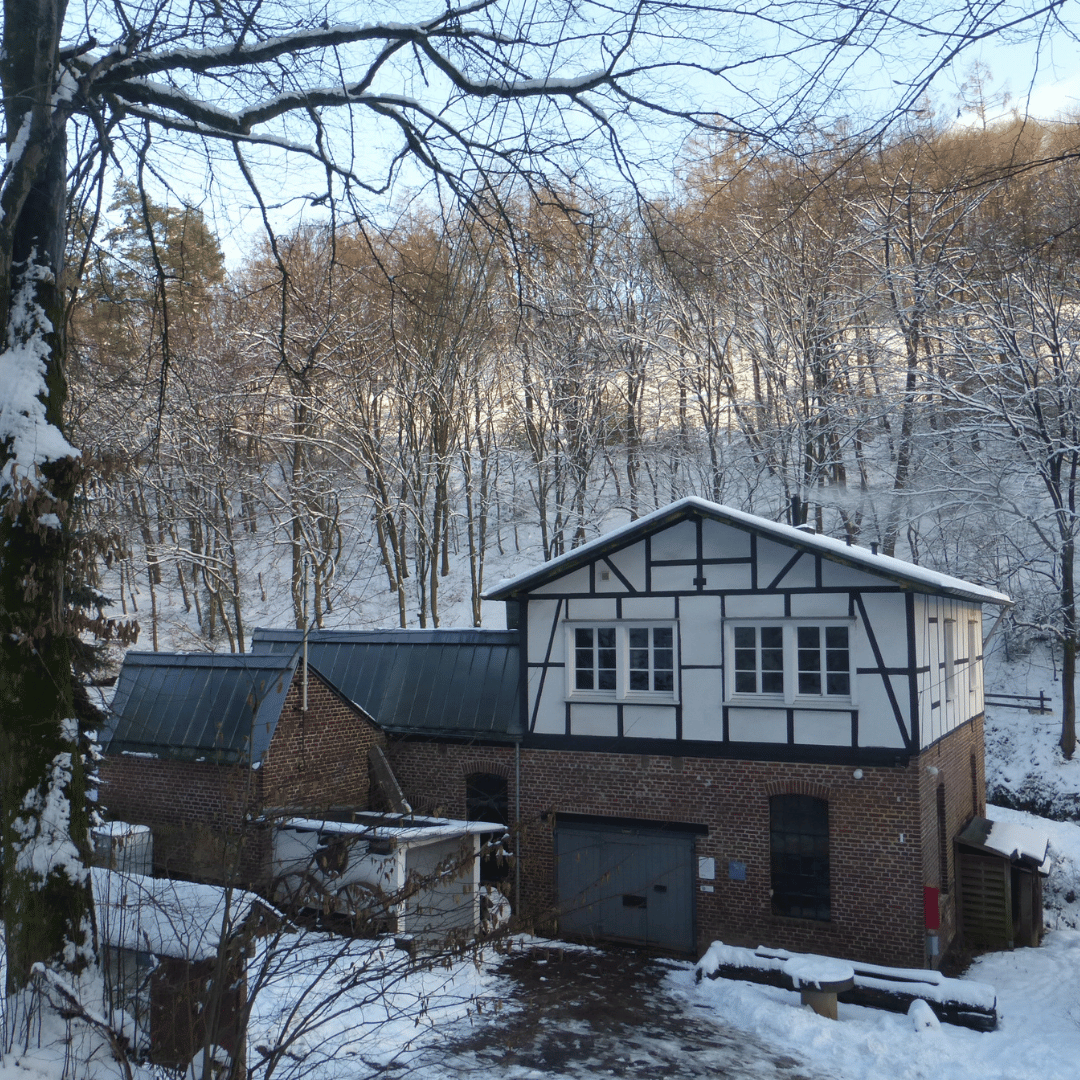 Manuelskotten im Schnee